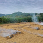 depression eco destruction