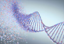 Psychiatric and behavioural genetics at the crossroads: Mary Boyle interviews Jay Joseph